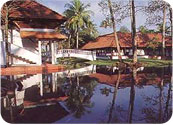 Coconut-Lagoon Coconut-Lagoon