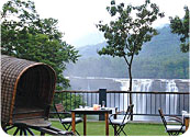 Rainforest-Resort Rainforest-Resort