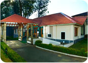 Tea-County