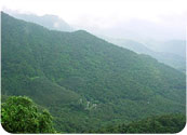 Hotels in Wayanadu