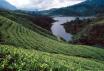 Srilanka Srilanka - Colombo & Hill Country