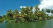 Kerala Green Dreams