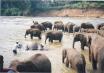 Srilanka Ramayana Tour